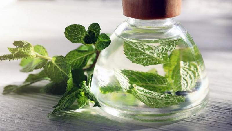 تصویر 2 از عرق نعنا خالص طبیعی و ارگانیک